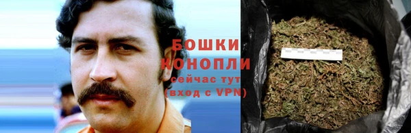 трава Алексин