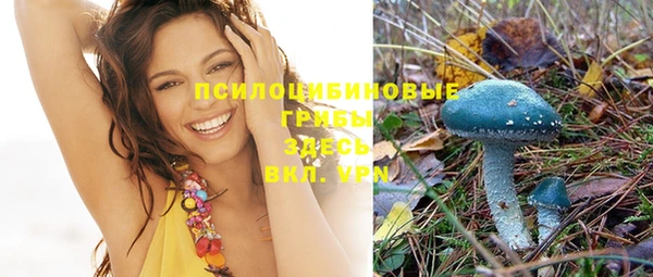 герыч Козловка
