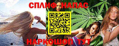 прущие грибы Ачхой-Мартан