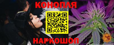 прущие грибы Ачхой-Мартан