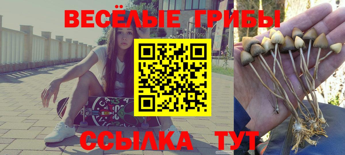 Псилоцибиновые грибы ЛСД  Псилоцибиновые грибы Psilocybine cubensis  Усть-Лабинск  Вход с VPN 