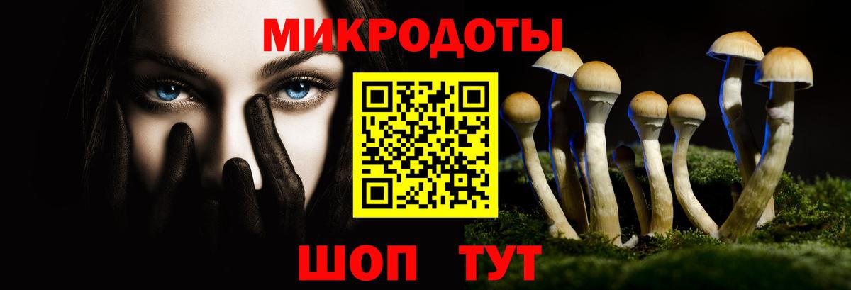 Псилоцибиновые грибы мицелий Усть-Лабинск