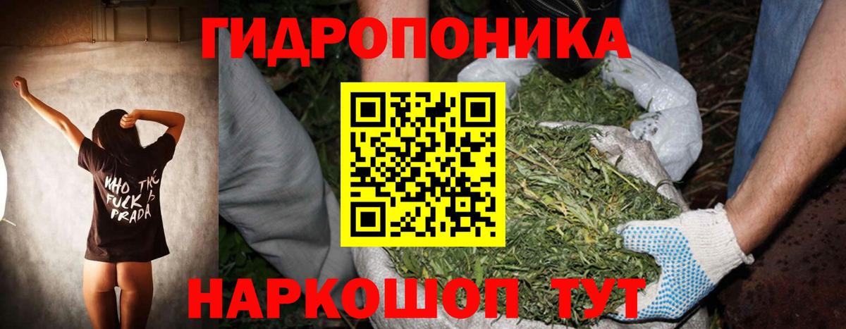 МАРИХУАНА план  МАРИХУАНА LSD WEED  МАРИХУАНА ГИДРОПОН  Конопля планчик  Усть-Лабинск  Вход с VPN 